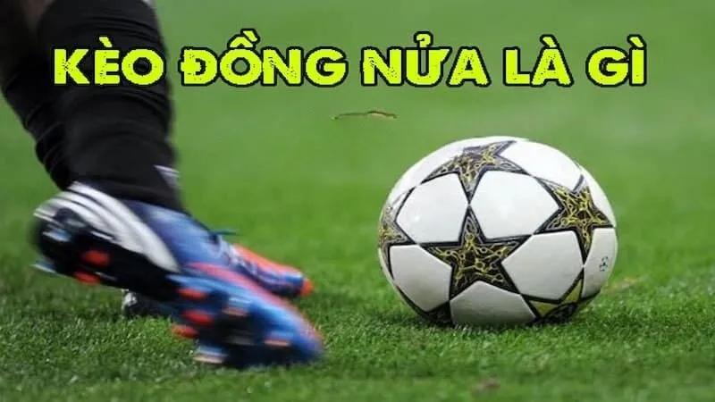 Kèo đồng nửa là gì?