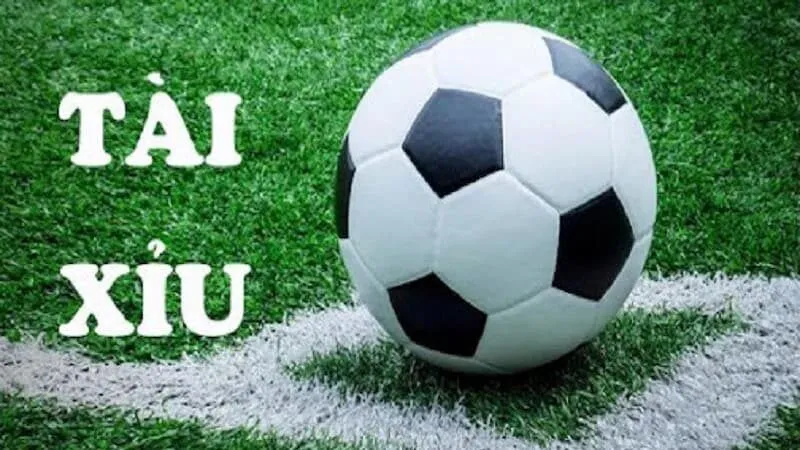 Lý do kèo tài xỉu được người chơi cá độ bóng đá yêu thích