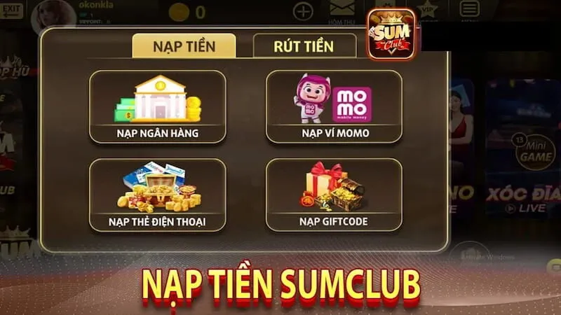 Một số lỗi thường gặp trong quá trình nạp tiền Sumclub